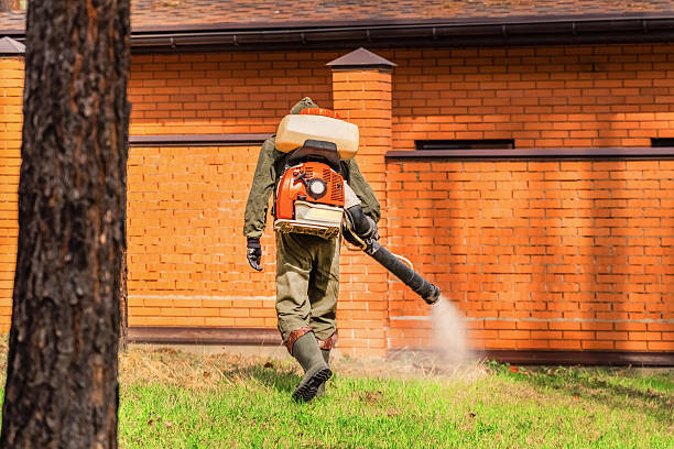 Bed Bug Clearance Verification and Documentation in Shady Shores